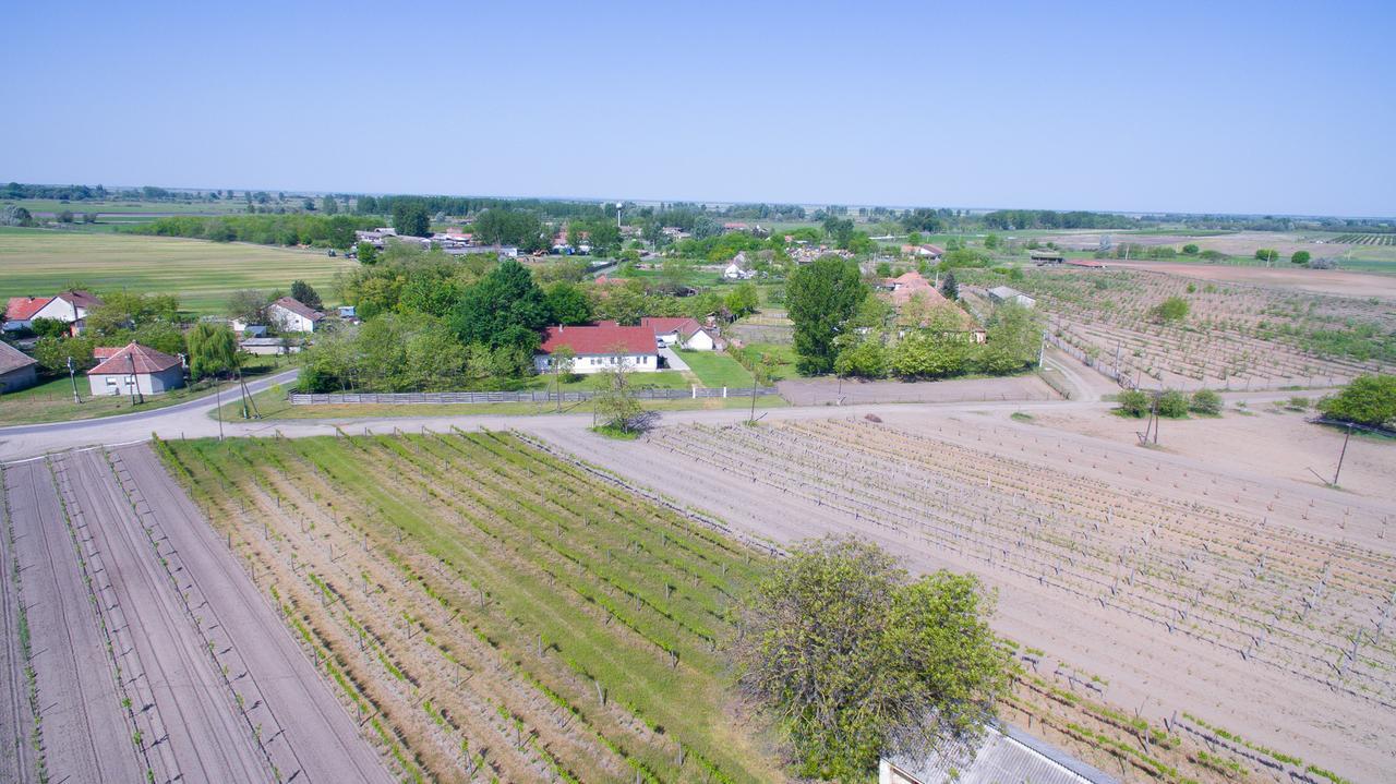 Tölgyfa Vendégház Kiskoros Exterior foto